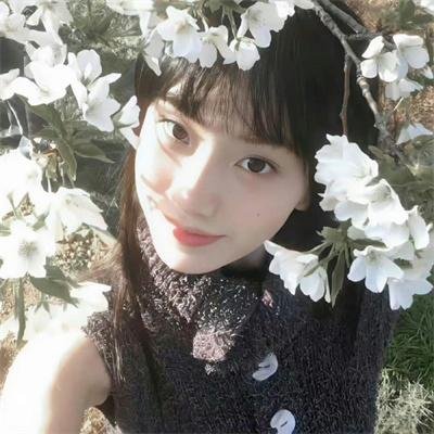 战地青春之歌